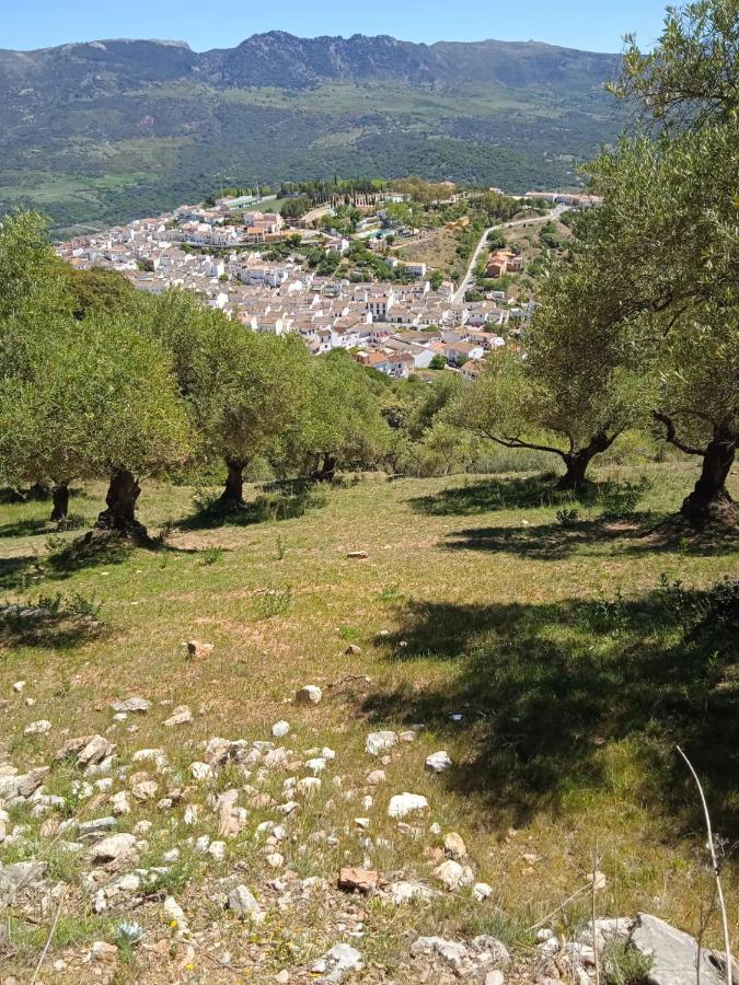 Pension La Sierra Cortes de la Frontera Εξωτερικό φωτογραφία