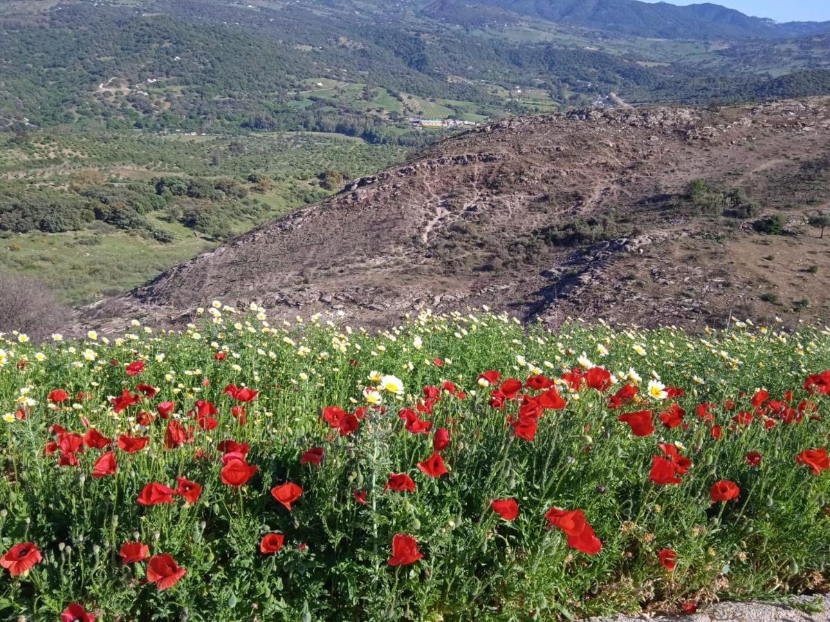 Pension La Sierra Cortes de la Frontera Εξωτερικό φωτογραφία