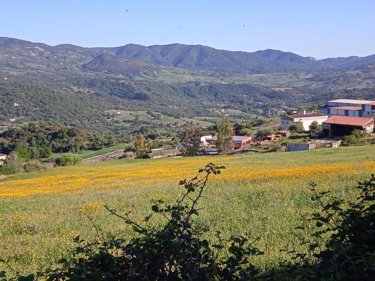 Pension La Sierra Cortes de la Frontera Εξωτερικό φωτογραφία